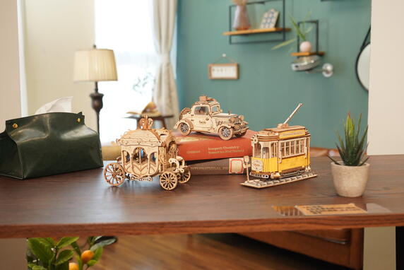 Get your brain moving with 3D wooden mechanical puzzles